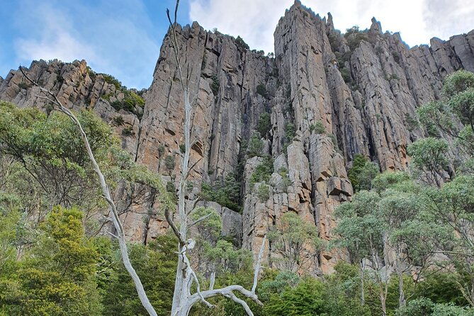 From Hobart: Mt Wellington Morning Walking Tour - Summing Up: Who Should Book This Tour?
