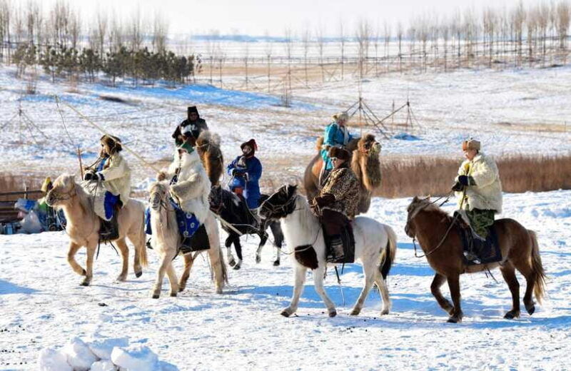 from-hohhot-8-day-inner-mongolia-private-tour-to-ordos