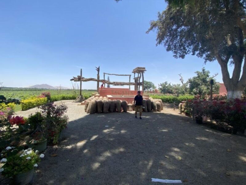 from-ica-tour-to-wine-and-pisco-vineyards-free-tasting