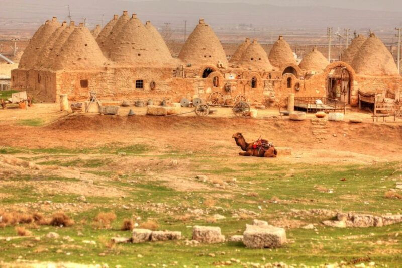 from-istanbul-gobeklitepe-day-tour