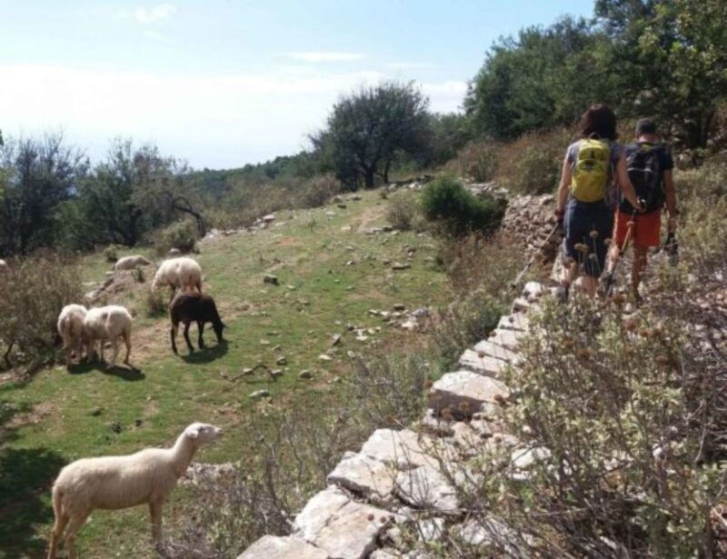 from-kalamata-hike-the-biliovo-hiking-trail-guided-day-trip