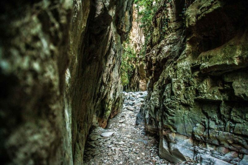 from-kalamata-ridomo-gorge-hiking-tour-with-greek-coffee