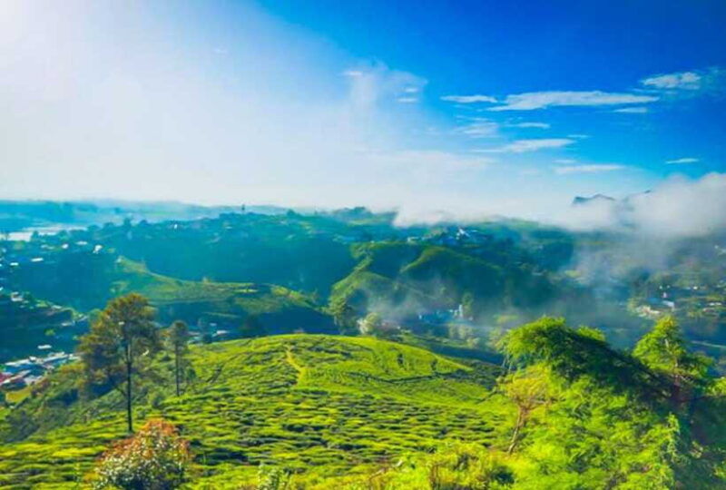 from-kandy-all-inclusive-nuwara-eliya-day-tour-with-lunch