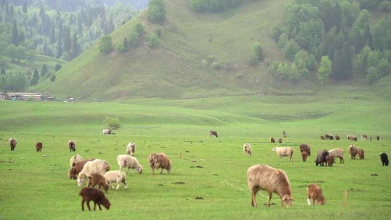 from-kashgar-5-day-silk-road-adventure-with-accommodation