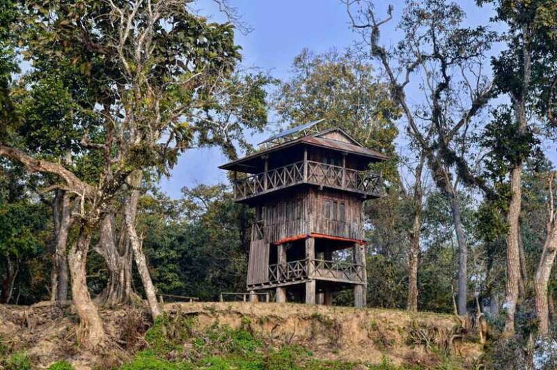 from-kathmandu-1-night-2-day-chitwan-jungle-tour