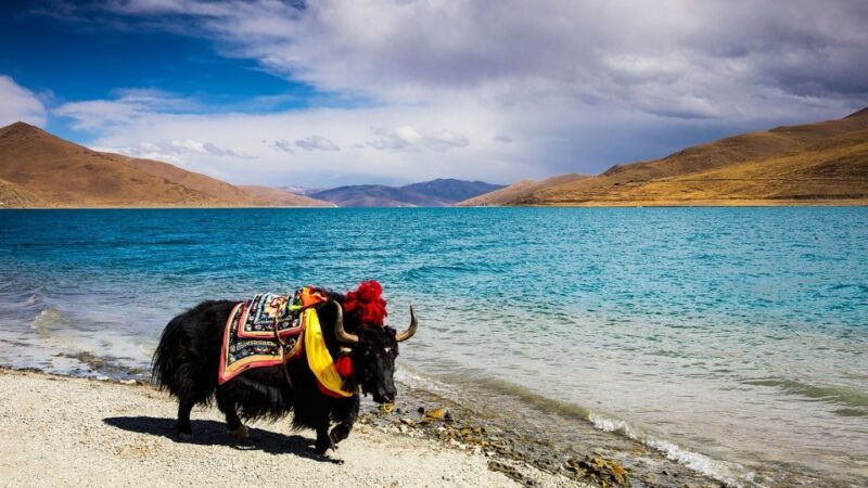 from-kathmandu-multi-day-tibet-highlights-trip