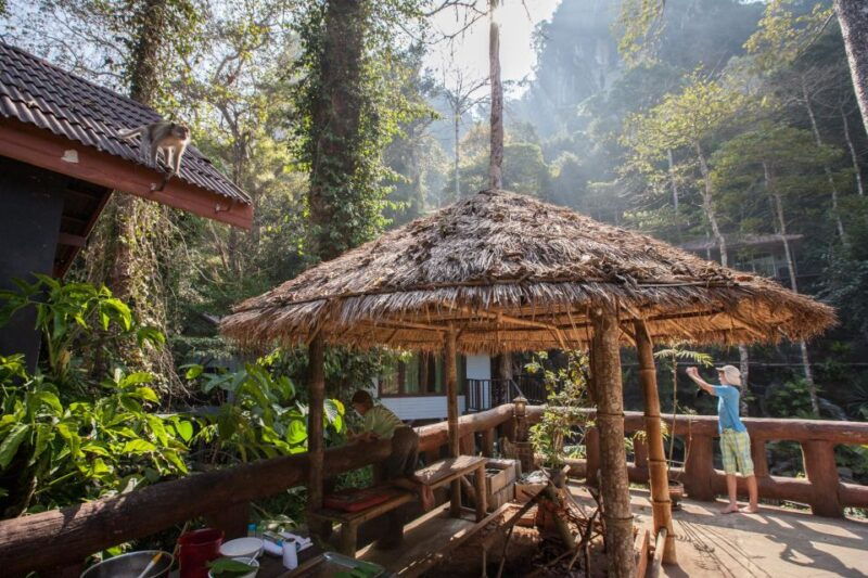 from-khao-lak-day-trip-to-khao-sok-with-elephant-camp-visit