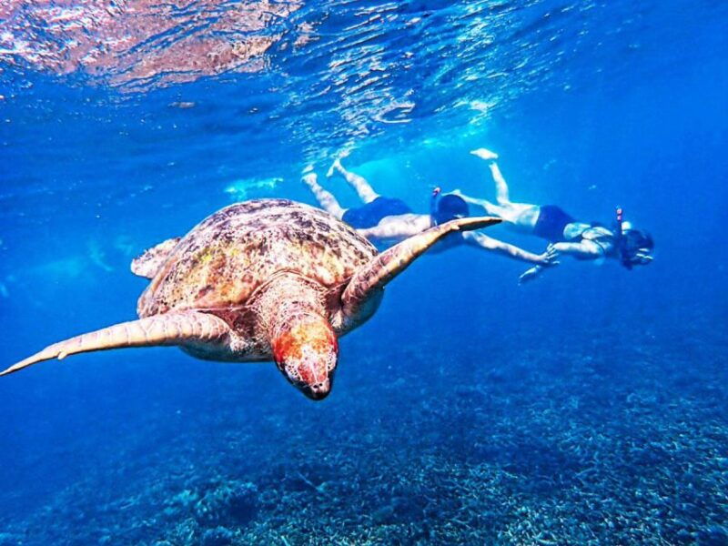 from-khao-lak-surin-islands-snorkeling-tour-w-meals