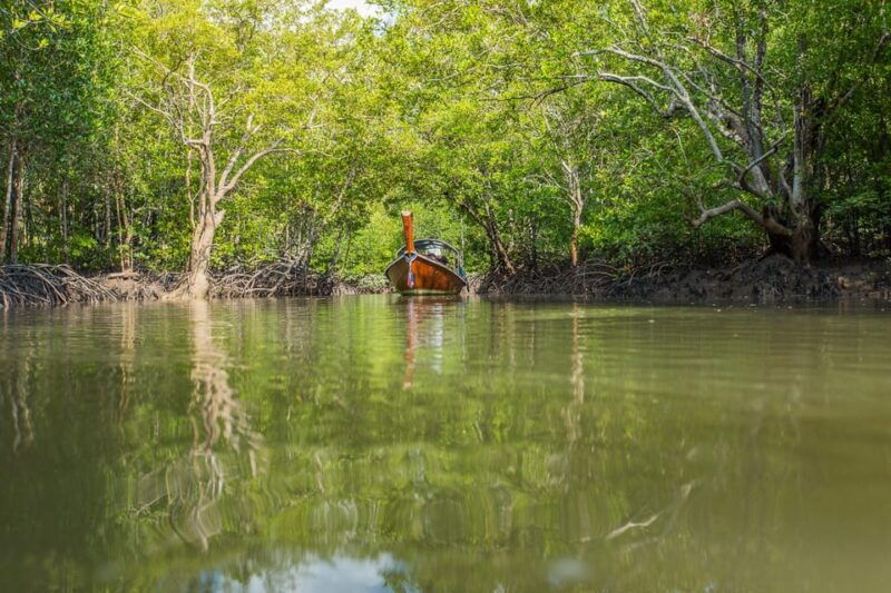 from-ko-lanta-mangrove-eco-excursion-by-longtail-boat