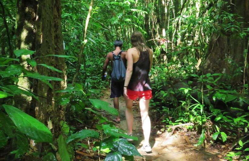 from-krabi-2-day-khao-sok-jungle-safari-with-overnight-stay