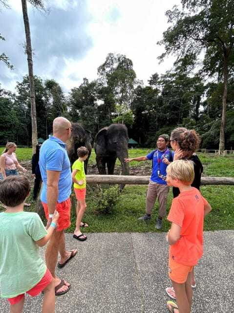 from-kuala-lumpur-elephant-sanctuary-guided-tour