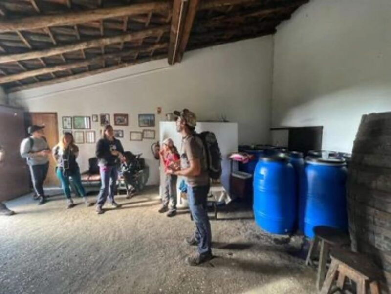from-lagos-monchique-private-guided-hike-medronho-tasting