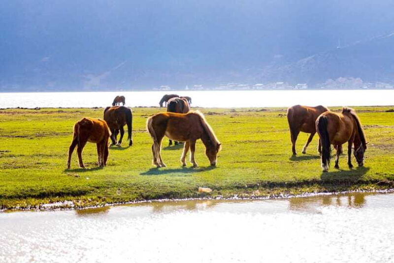 from-lijiang-6-day-lijiang-to-shangri-la-adventure-tour