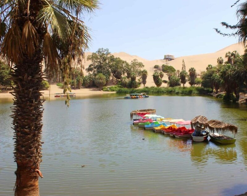 from-lima-ballestas-islands-huacachina-oasis-1-day