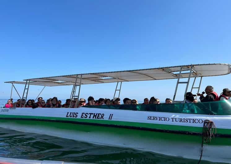 from-lima-full-day-paracas-ica-2