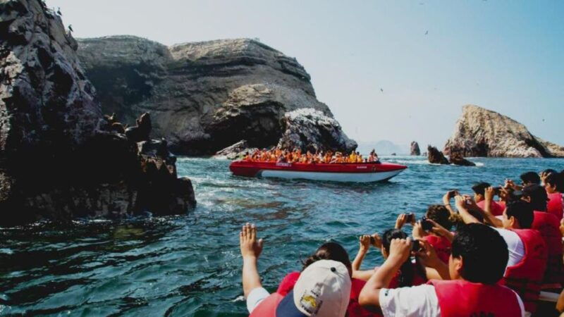 from-lima-full-day-tour-of-paracas-and-huacachina-oasis