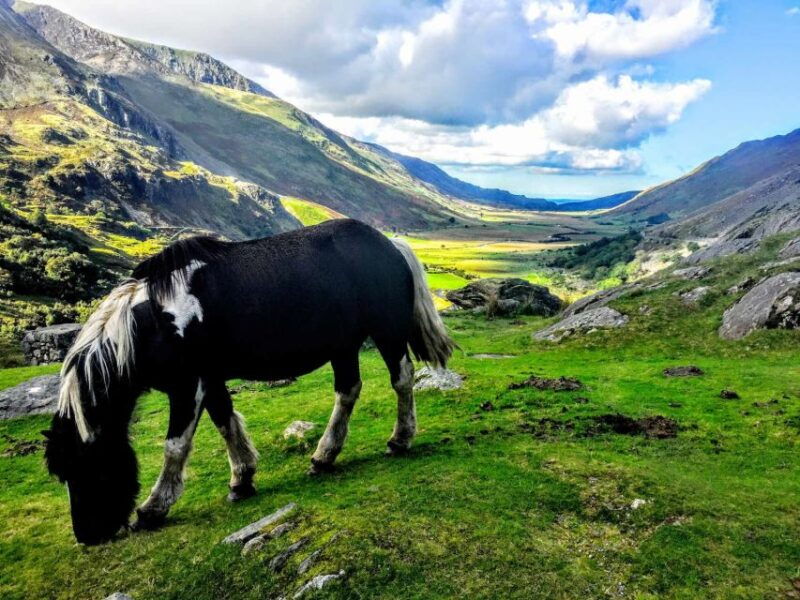 from-liverpool-north-wales-adventure-sightseeing-day-trip