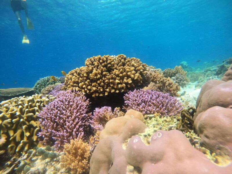from-lombok-gili-islands-snorkeling-day-trip