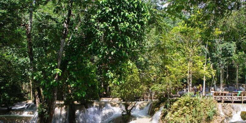 from-luang-prabang-thin-pha-trail-tad-sae-falls-trek