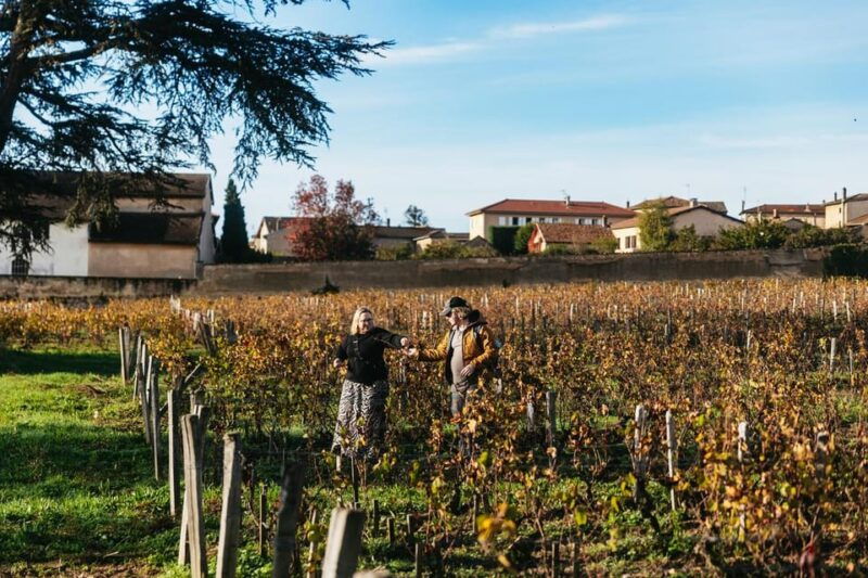 from-lyon-beaujolais-region-wine-tour-with-tastings