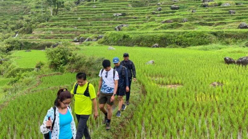 from-makassar-6-day-toraja-experience-tour-with-local-stay