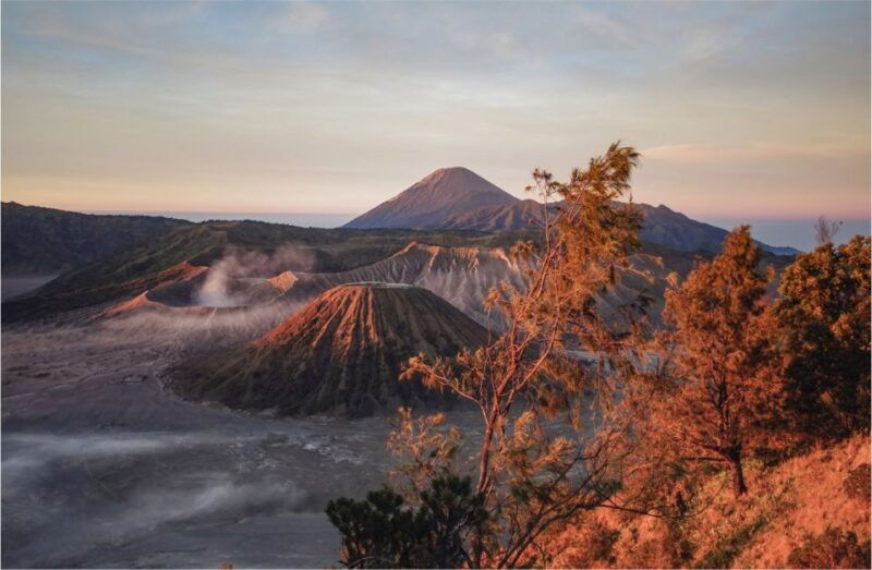 from-malang-mount-bromo-sunrise-day-trip-with-breakfast