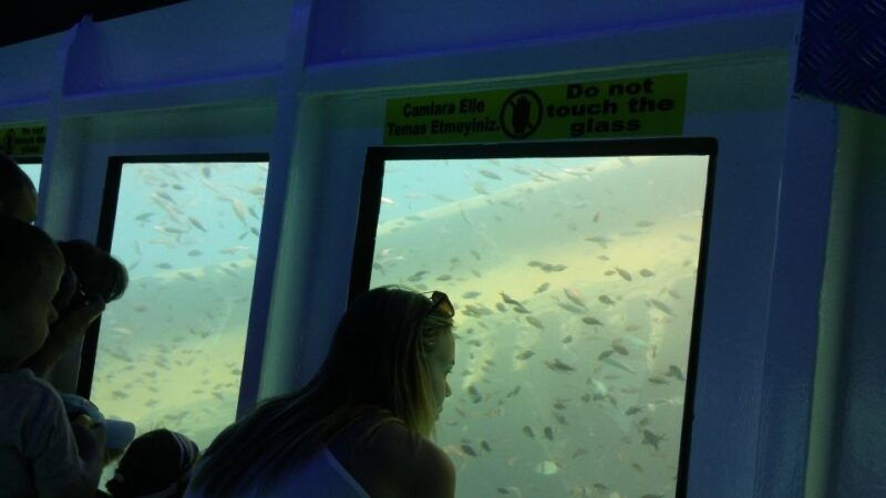 from-marmaris-day-trip-by-glass-bottom-semi-submarine