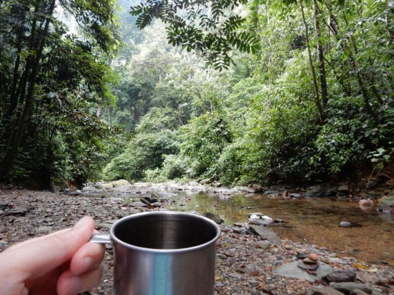from-medan-4-day-tour-to-bukit-lawang-incl-jungle-trek