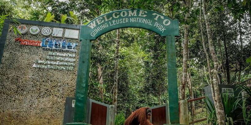 from-medan-mount-leuser-national-park-full-day-trip-2