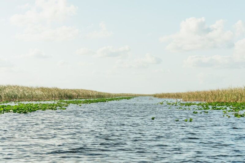 from-miami-everglades-airboat-wildlife-show-bus-transfer