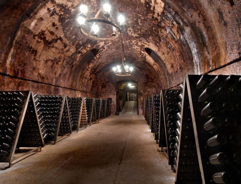 from-milan-full-day-in-franciacorta-2-wineries-lunch