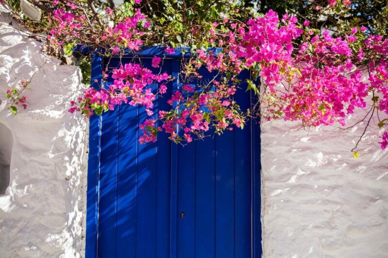 from-mykonos-town-guided-sightseeing-tour-with-windmills