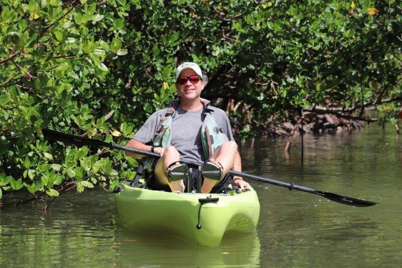 from-naples-fl-marco-island-mangroves-kayak-or-paddle-tour