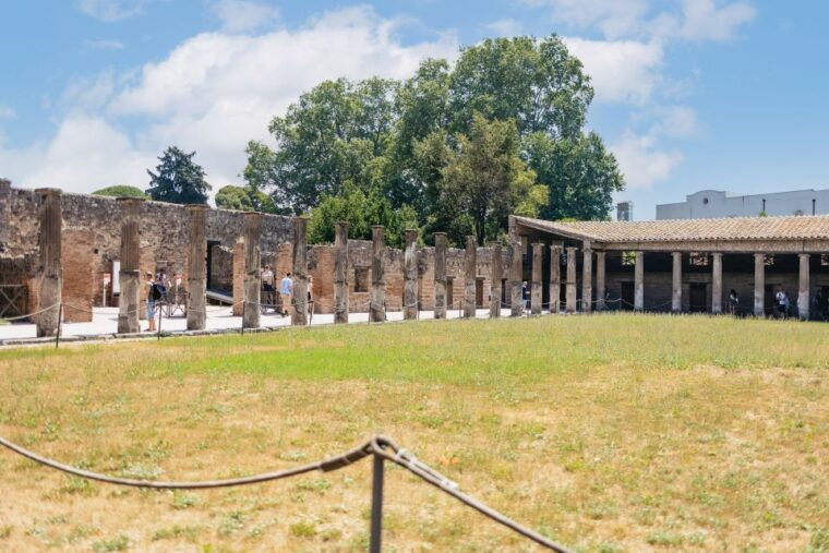 from-naples-pompeii-ruins-mount-vesuvius-day-tour