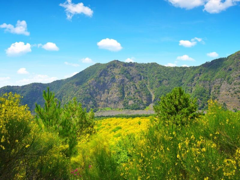 from-naples-vesuvius-pompeii-with-transfer-audio-guide