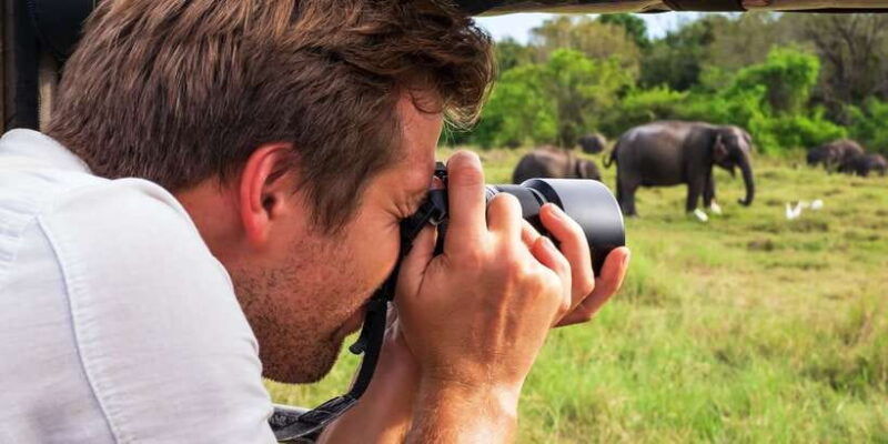 from-negombo-udawalawa-national-park-wildlife-safari