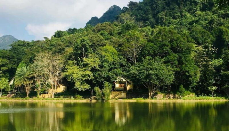 from-ninh-binh-cuc-phuong-national-park-day-trip-with-lunch