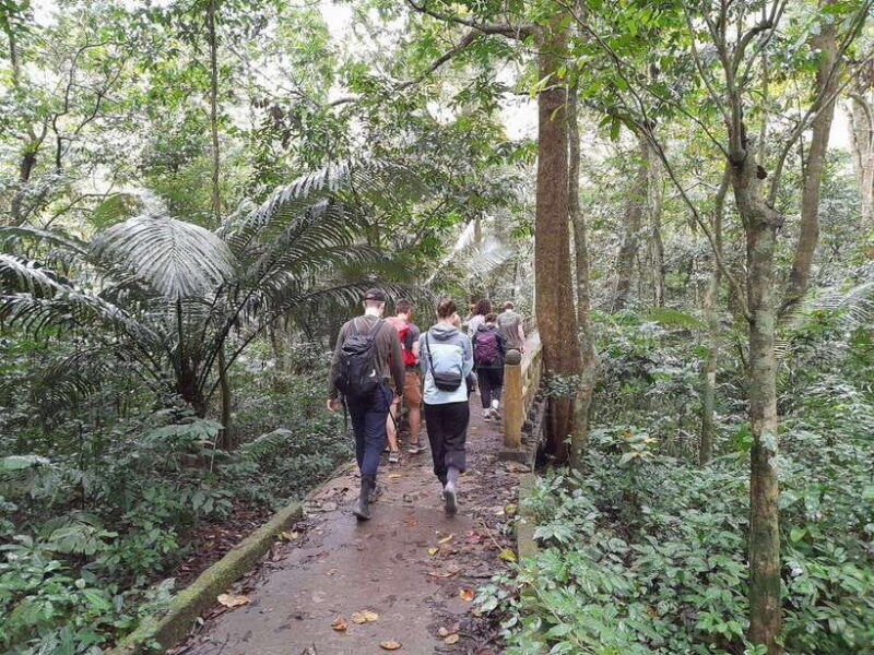 from-ninh-binh-cuc-phuong-national-park-trekking-day-tour