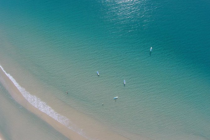 From Noosa: Stand Up Paddle Wildlife & Beach 4X4 Adventure - Final Thoughts