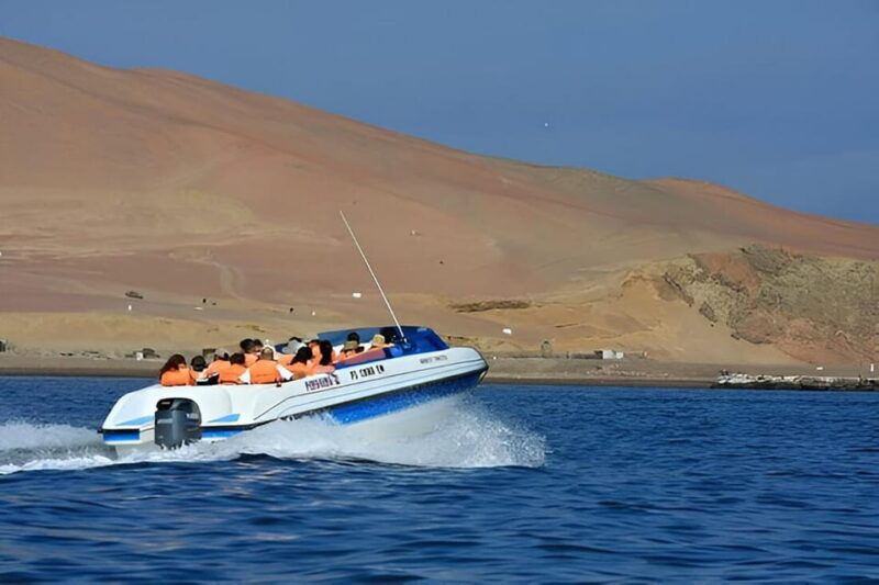 from-paracas-ballestas-islands-and-paracas-national-reserve-3