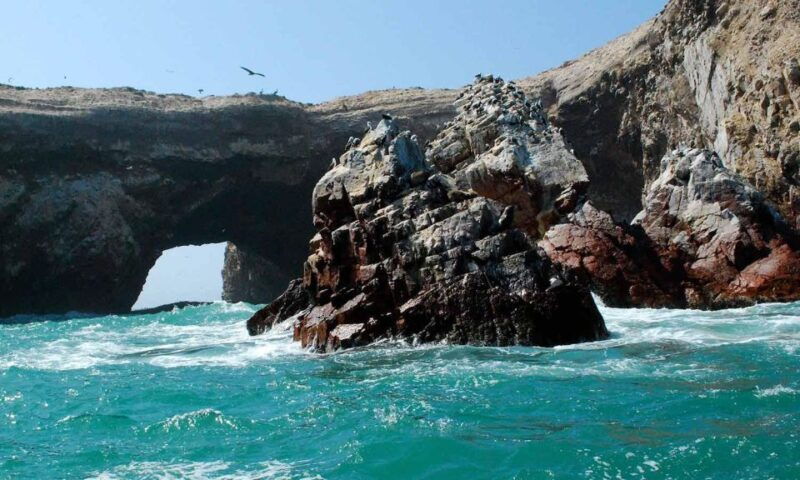 from-paracas-excursion-to-the-ballestas-islands-3-hours