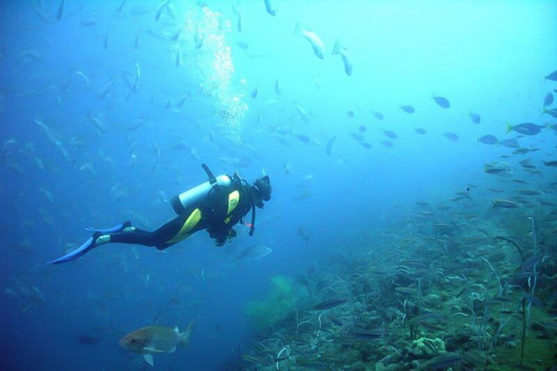 from-phuket-3-day-ssi-padi-open-water-diver-certification