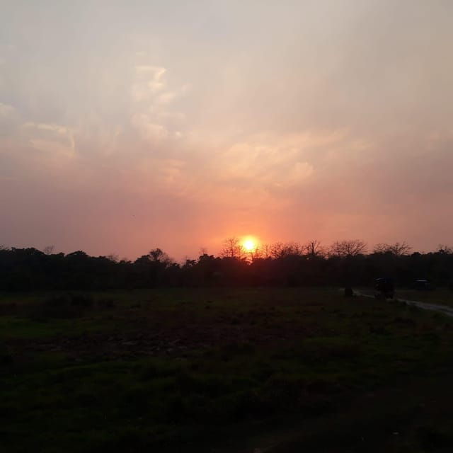 from-pokhara-2-day-chitwan-national-park-safari-tour