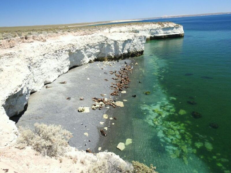 from-puerto-madryn-city-and-punta-loma-tour