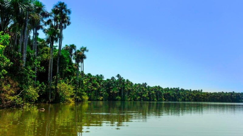 from-puerto-maldonado-jungle-hike-sandoval-lake