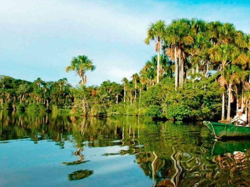 from-puerto-maldonado-jungle-trekking-sandoval-lake