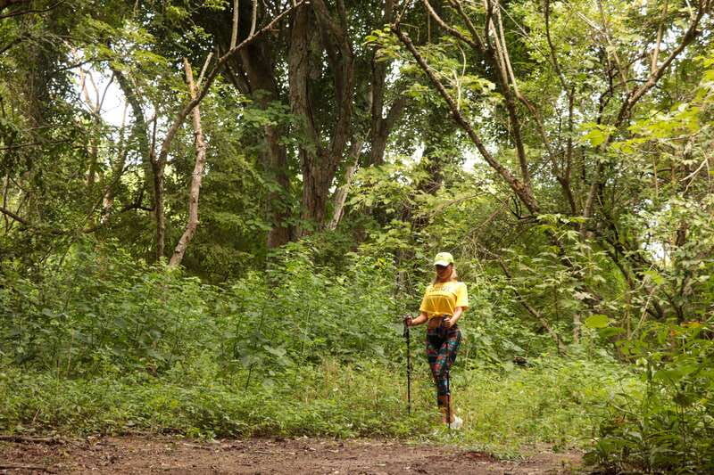 from-puerto-vallarta-2-hour-guided-sierra-vallejo-hike
