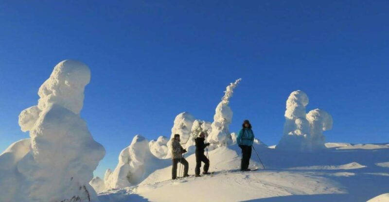 from-ruka-snowshoeing-in-riisitunturi-national-park