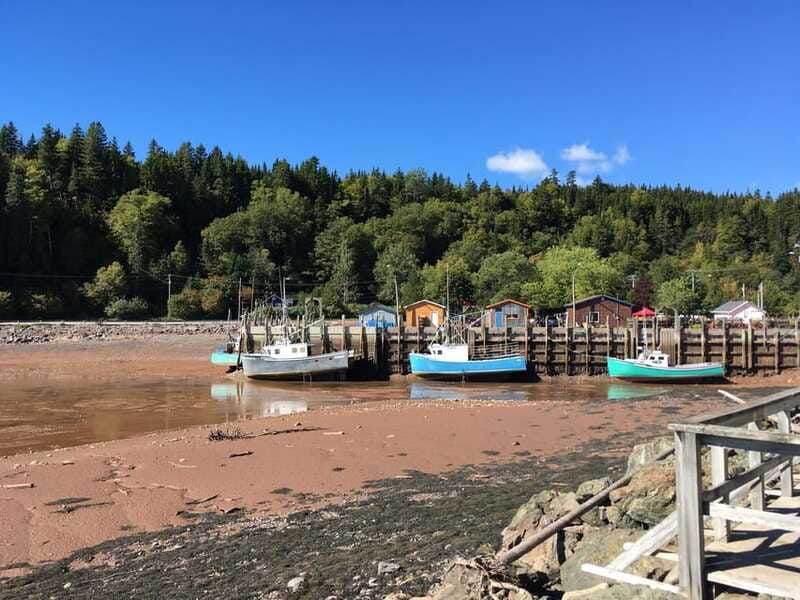 from-saint-john-bay-of-fundy-bus-trip-for-cruise-passengers
