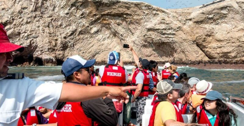 from-san-martin-port-ballestas-islands-tour-in-paracas